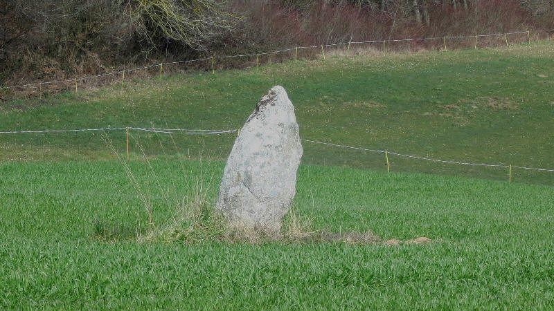 Menhir du Devens, mégalithe sur la commune de SaintAubinSauges dans